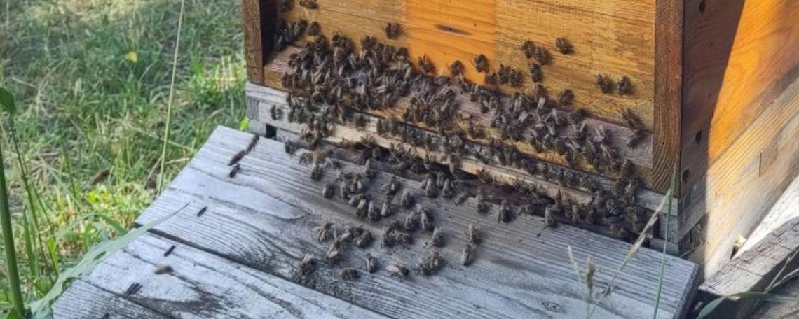 Titelbild von Jürgen B.